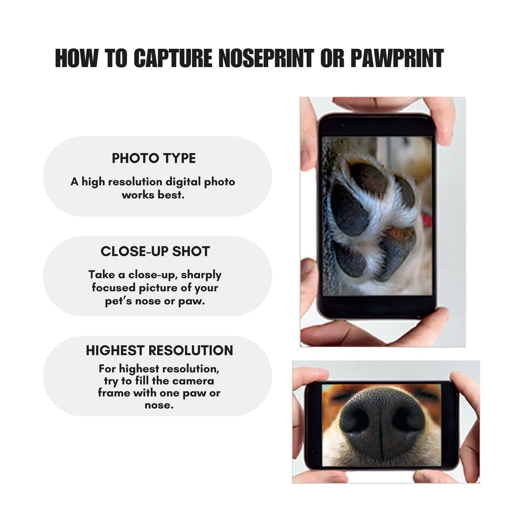 Paw Nose Print Engraved Earrings